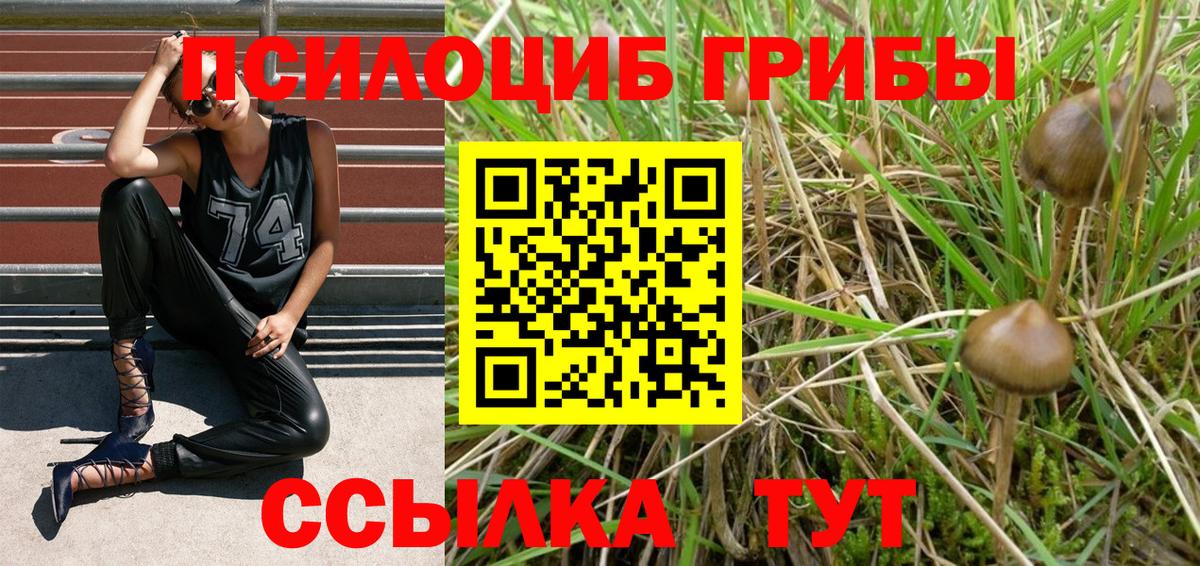Псилоцибиновые грибы прущие грибы  дарнет шоп  Люберцы  Вход с VPN 